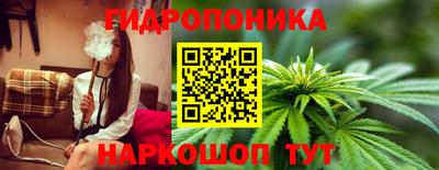 молекула духа Кулебаки