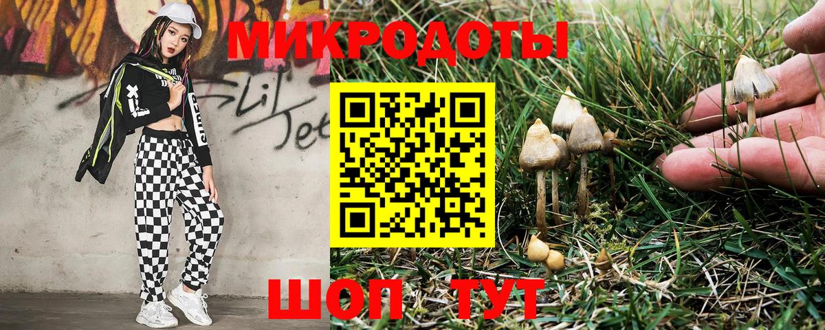 Галлюциногенные грибы Psilocybine cubensis  сколько стоит  Кизляр  Вход с VPN 